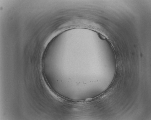 X0000073521523200608211752