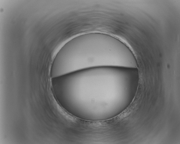 X0000073521524200608211752