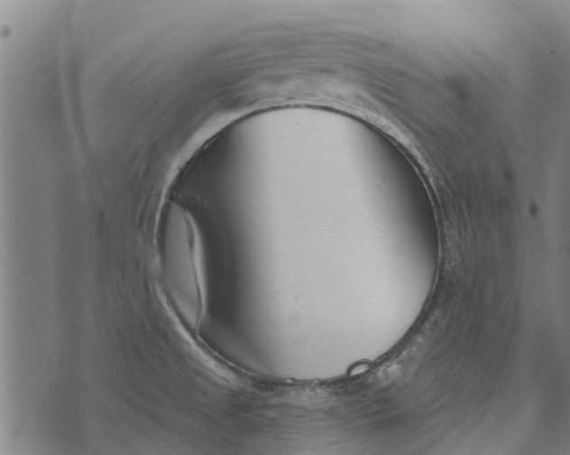 X0000073521525200608211752