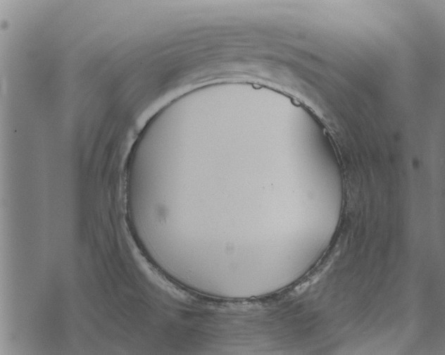 X0000073521526200608211752