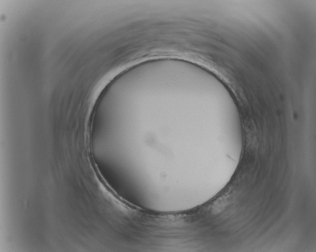 X0000073521527200608211752