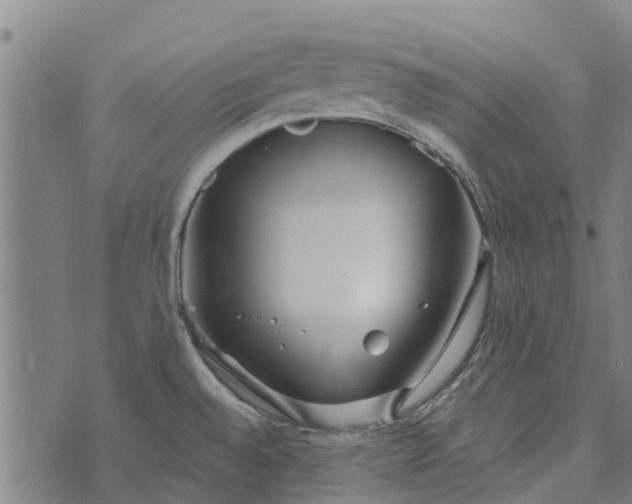 X0000073521528200608211752