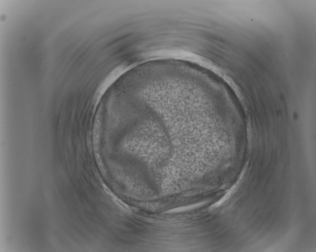 X0000073521529200608211752