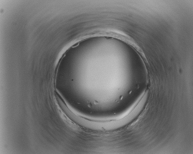 X0000073521530200608211752