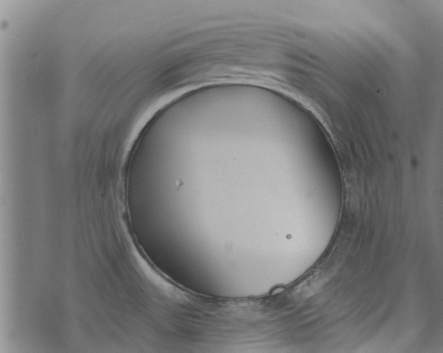 X0000073521531200608211752