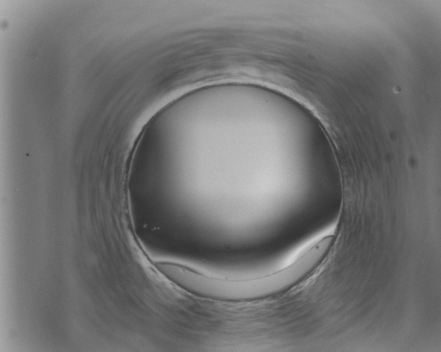 X0000073521534200608211752