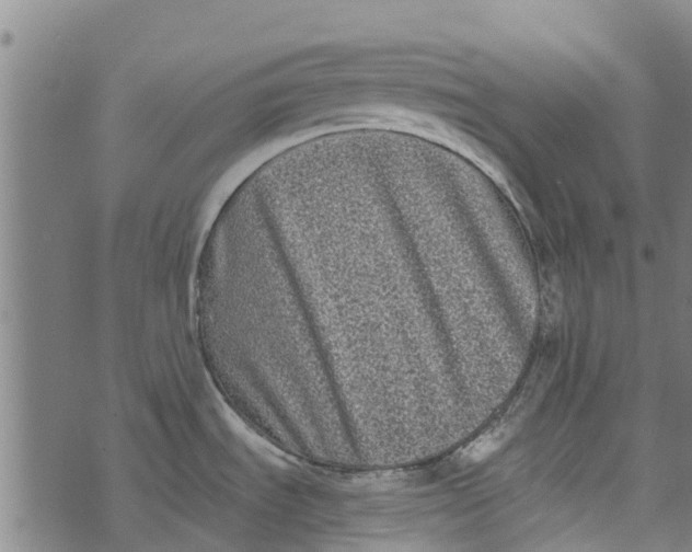 X0000073521535200608211752