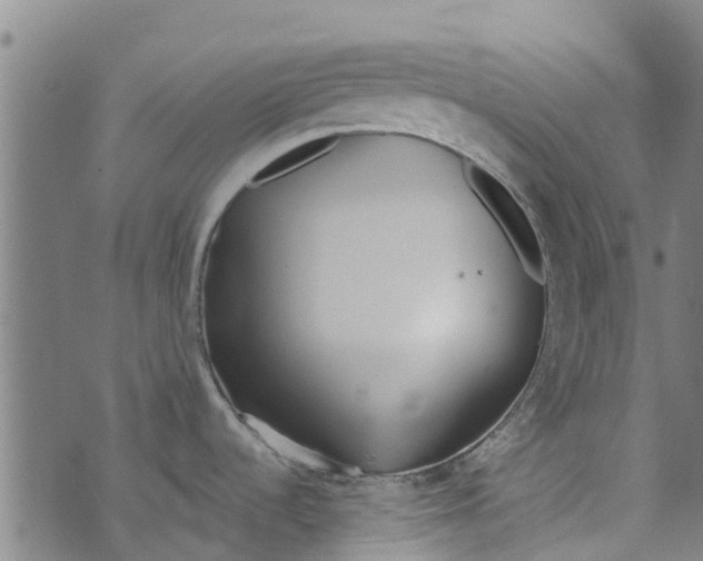 X0000073521536200608211752