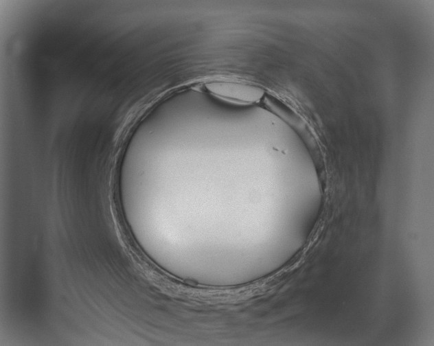 X0000073520001200608281745