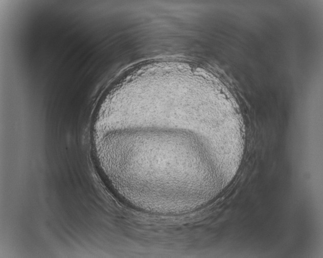 X0000073520002200608281745