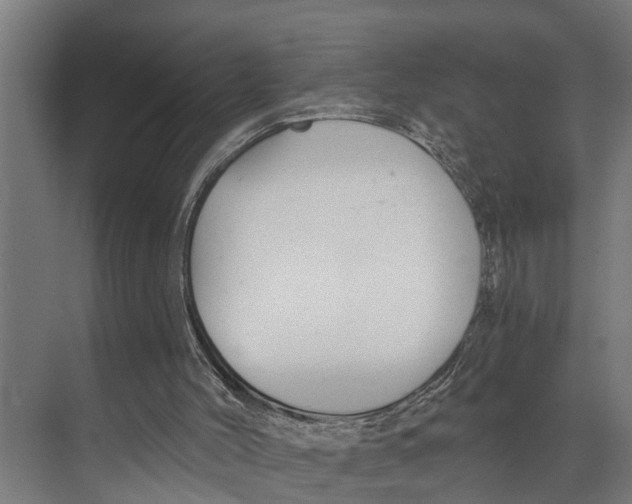 X0000073520004200608281745