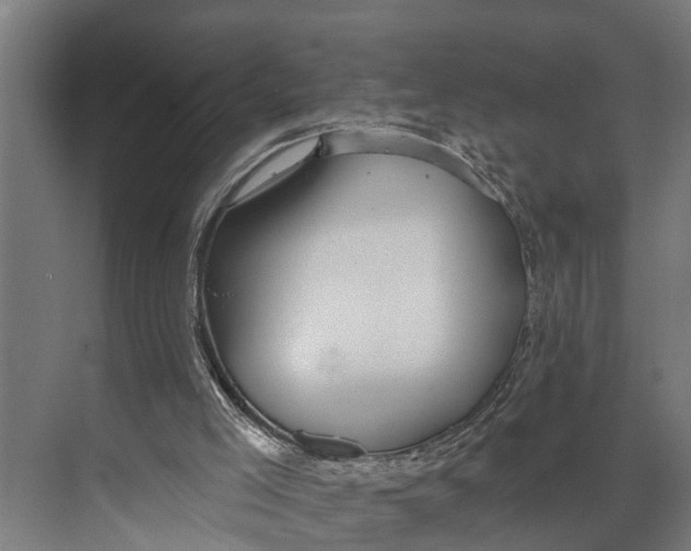 X0000073520005200608281745