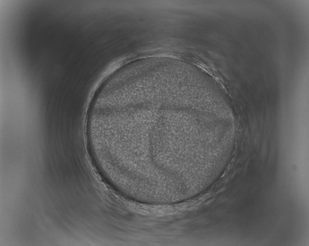 X0000073520006200608281745