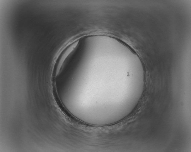 X0000073520007200608281745