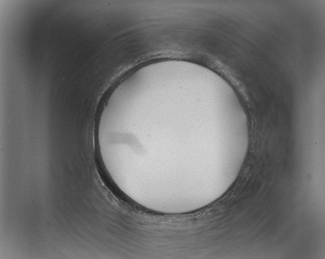 X0000073520011200608281745