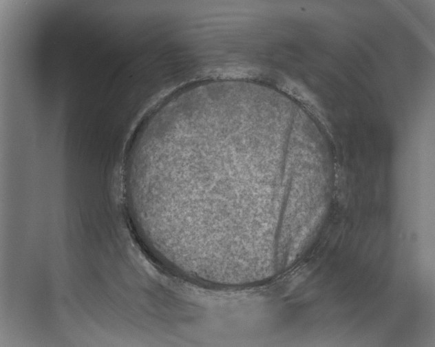 X0000073520012200608281745