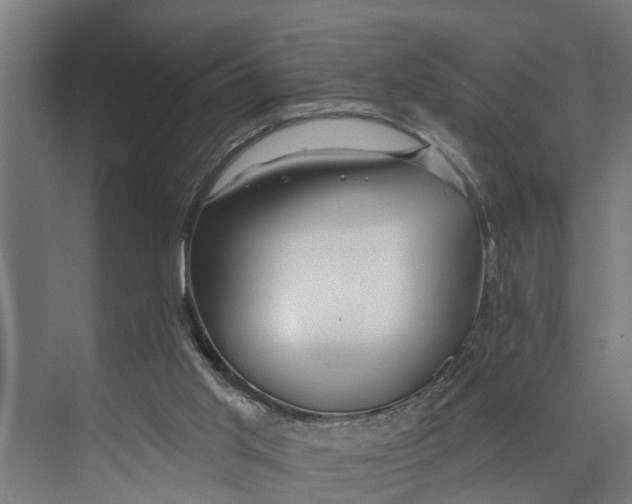 X0000073520013200608281745