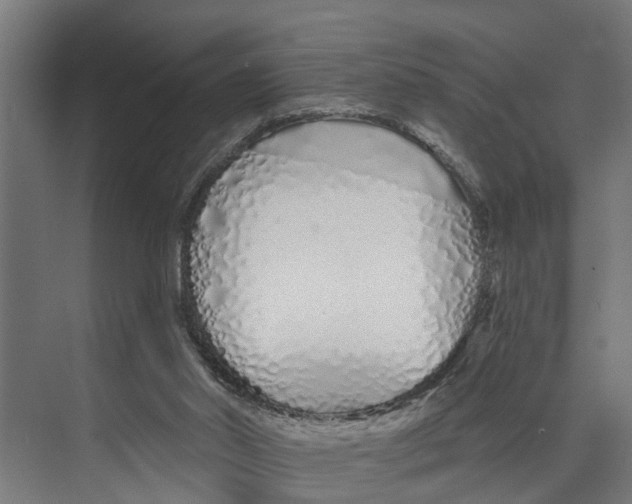 X0000073520014200608281745