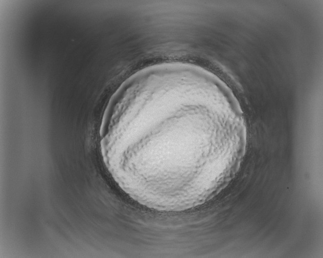 X0000073520018200608281745