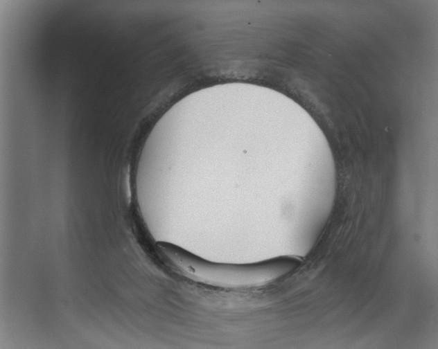 X0000073520020200608281745