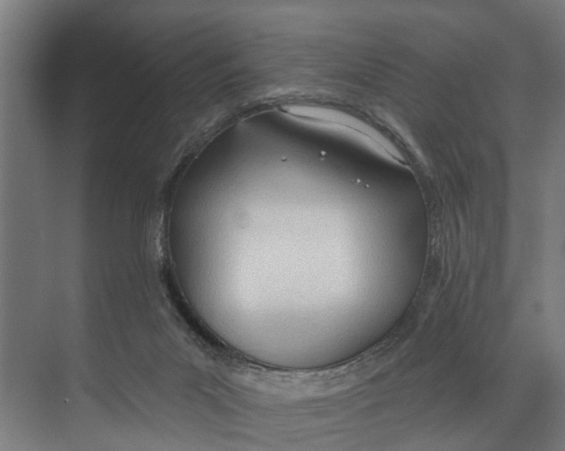 X0000073520023200608281745