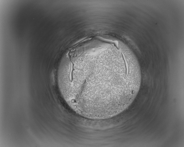 X0000073520026200608281745