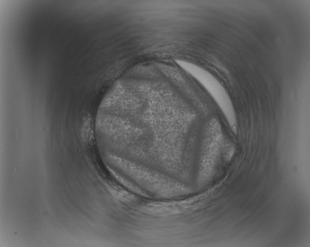 X0000073520029200608281745