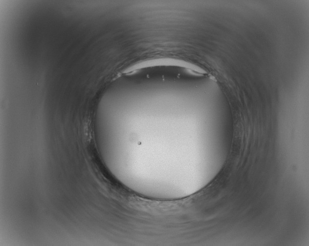 X0000073520031200608281745