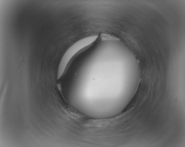 X0000073520033200608281744