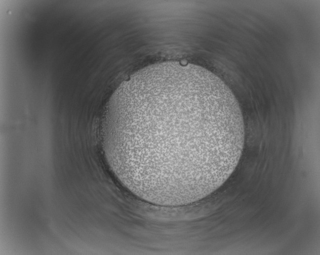 X0000073520034200608281744