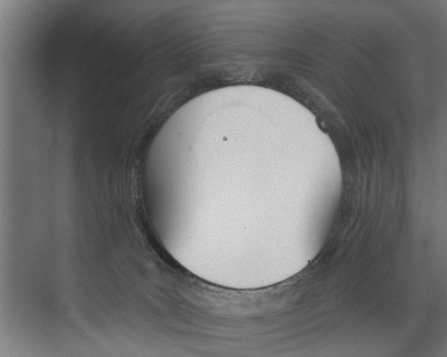 X0000073520035200608281744