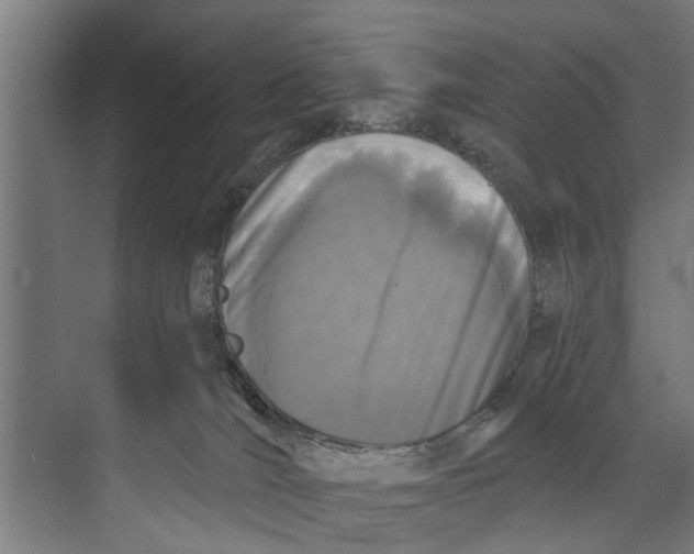 X0000073520036200608281744