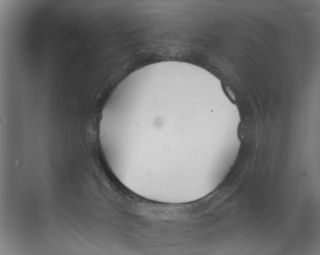 X0000073520040200608281744