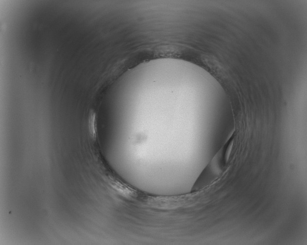 X0000073520041200608281744