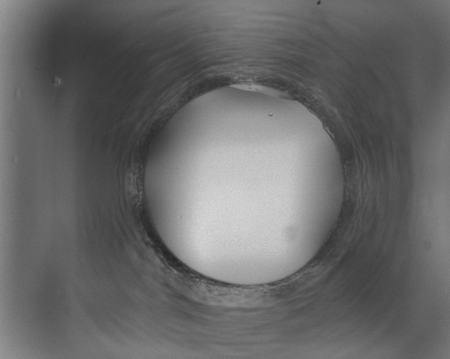 X0000073520044200608281744