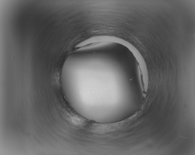 X0000073520045200608281744