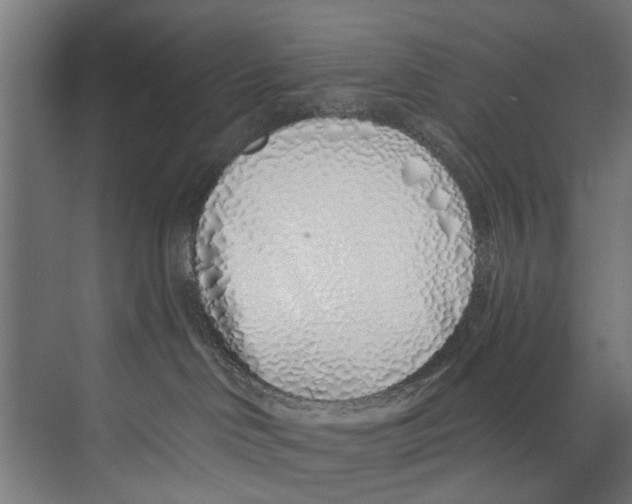 X0000073520046200608281744