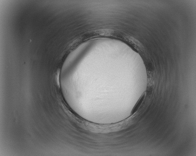 X0000073520047200608281744