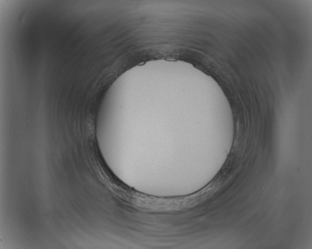 X0000073520048200608281744