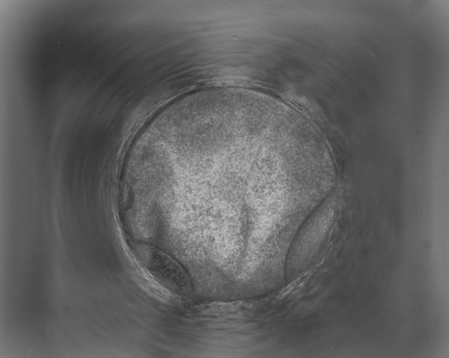 X0000073520049200608281743