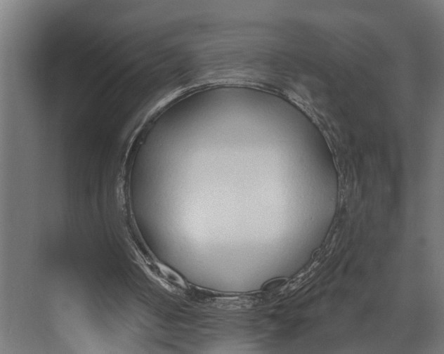 X0000073520050200608281743