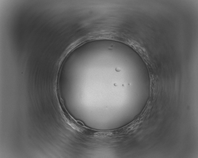 X0000073520051200608281743