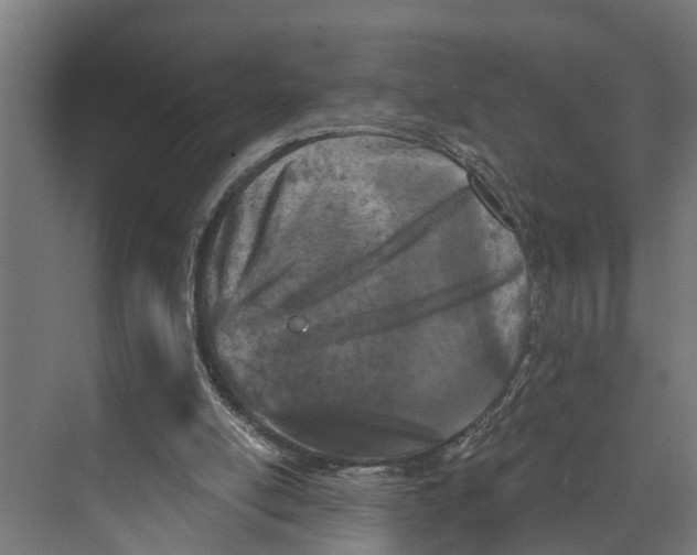 X0000073520054200608281744