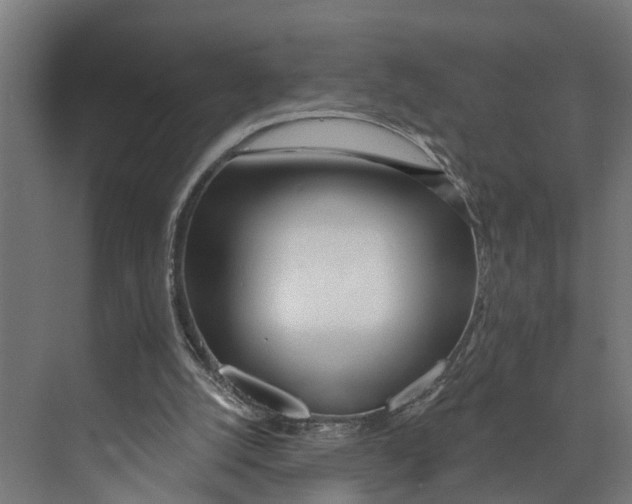 X0000073520056200608281744