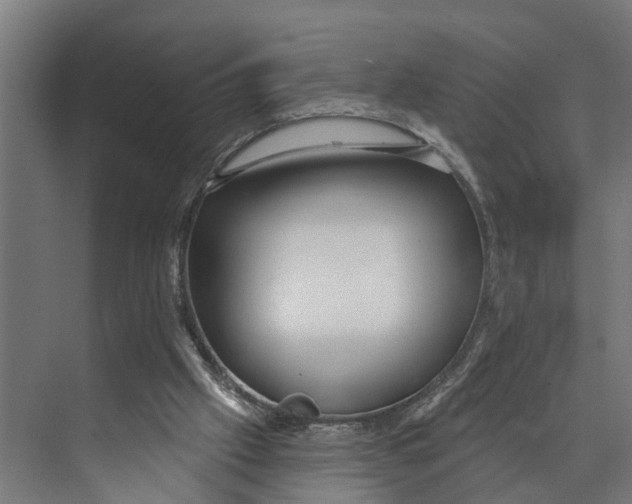 X0000073520057200608281744