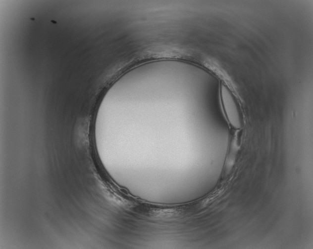 X0000073520058200608281744