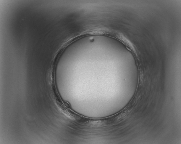 X0000073520059200608281744