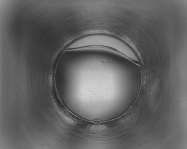 X0000073520063200608281744