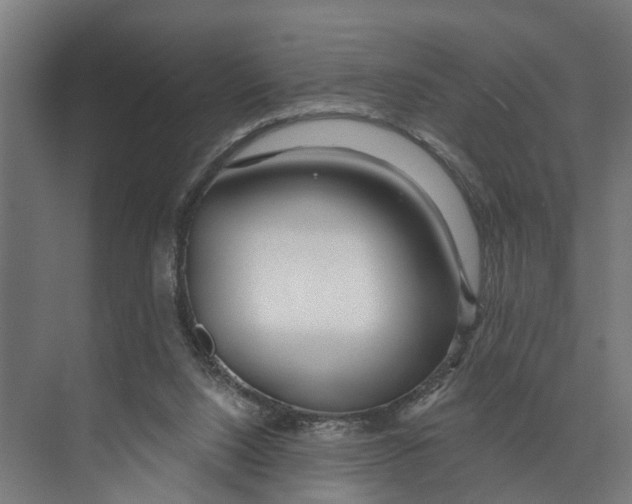 X0000073520064200608281744