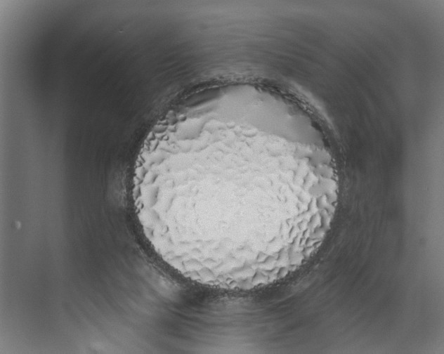 X0000073520065200608281744